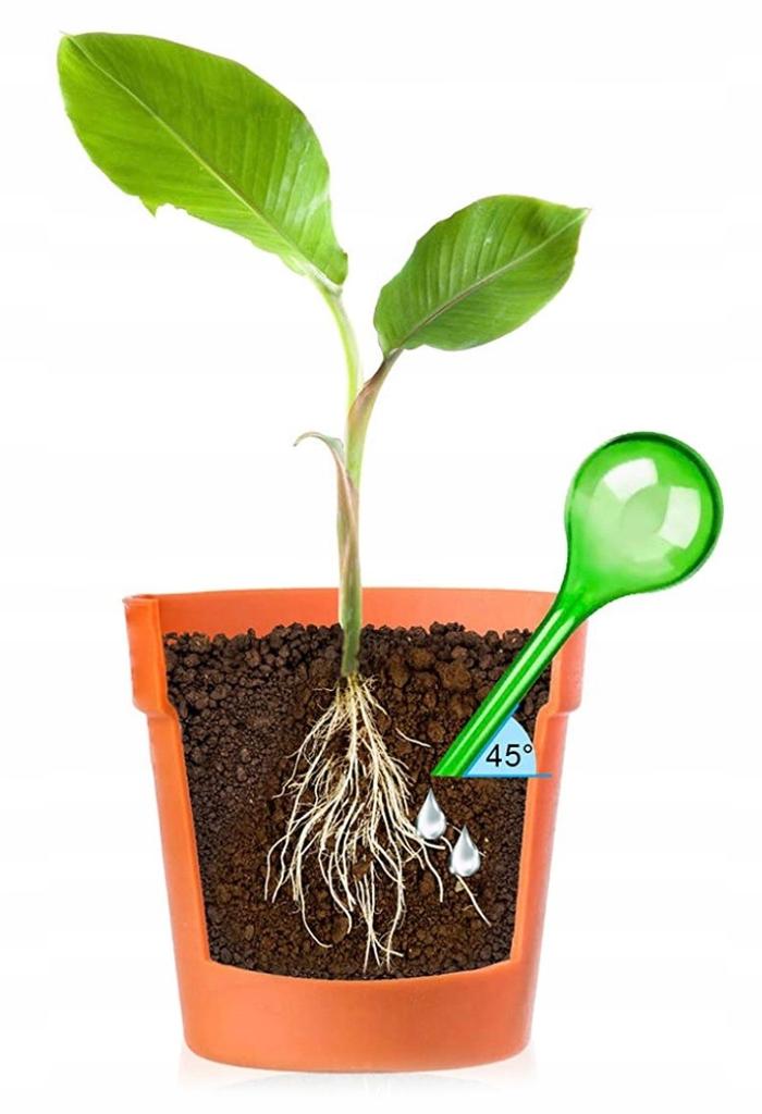 Irrigation Balls for Plants and Flowers 1 Piece