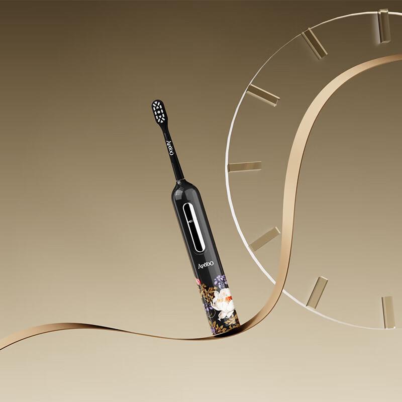 ApiYoo T25 Artistic Hand-Painted Electric Toothbrush Gift Set