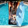 Avatar Print Beach Towel Design, Soft, Lightweight. for Home Bathroom, Spa, Pool, Yoga, Surfing, Camping, Gift for Family, Friend