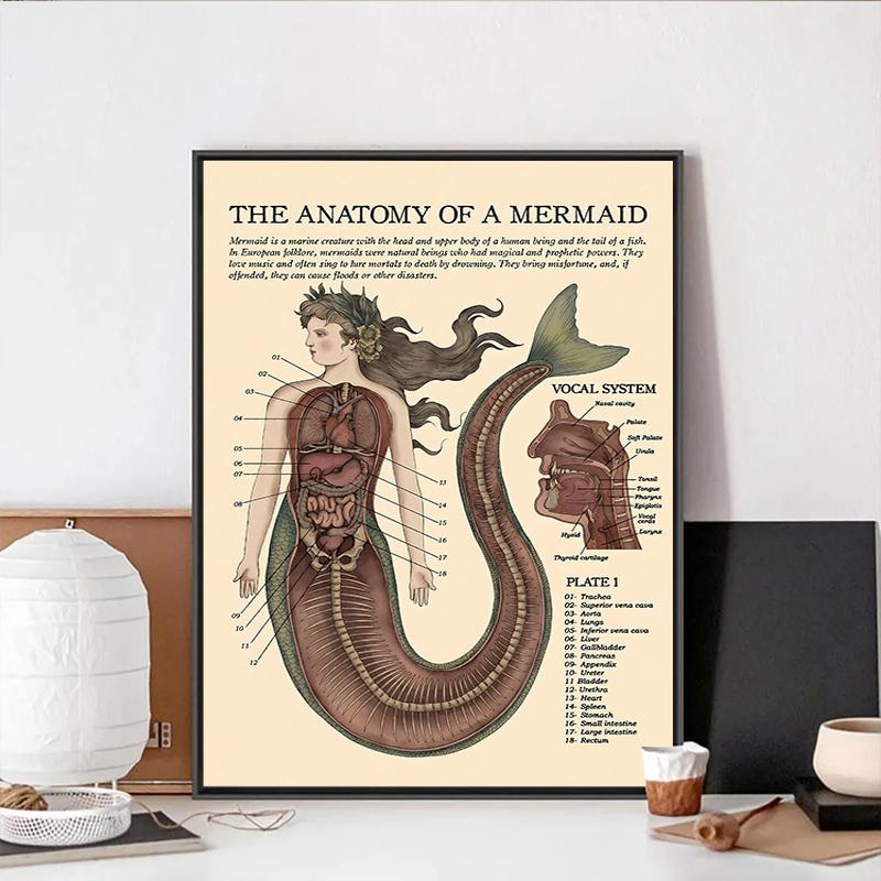 Vintage The Anatomy Of Mermaid Harpy Gorgon Poster Print Mysterious Creature Canvas Painting Wall Art Room Home Decor Cuadros