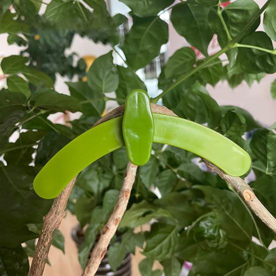 10ks Nastavitelný držák na ohýbání větví rostlin Květiny Vytahování větví ovocného stromu Zařízení na ohýbání větví rostlin Nástroj na bonsaje odolný vůči počasí