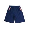 Li Ning Sports Basketball Series CBA Basketball Shorts Men Shorts Blue AAPR449-2