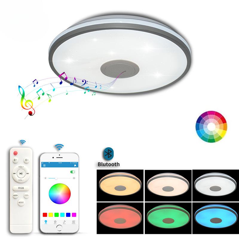 30/33CM Smart Bluetooth Music Light APP Modern Simple Framed Study Bedroom LED Ceiling Light