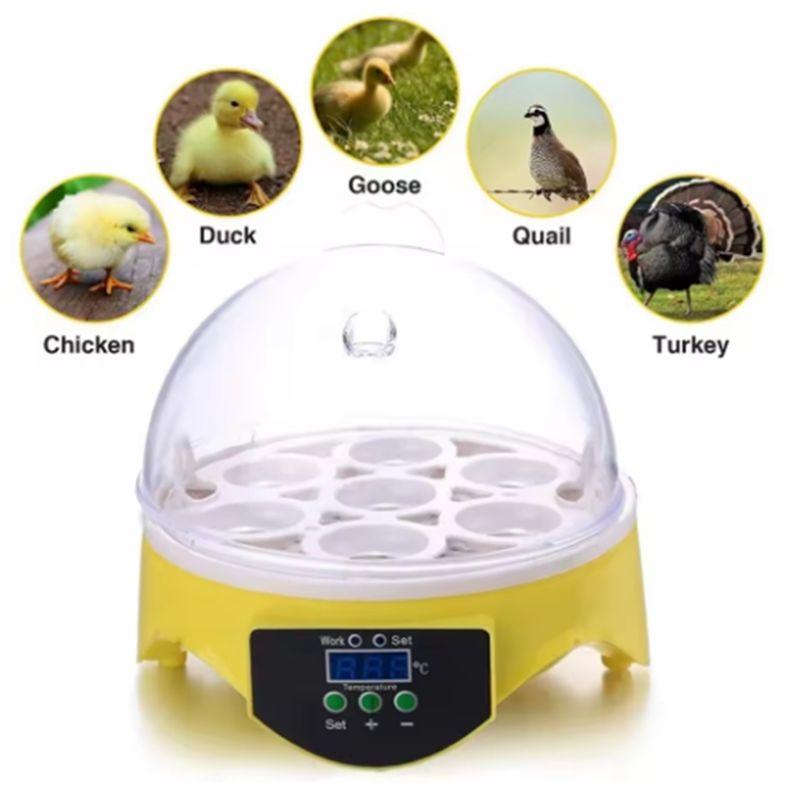 Aug. Egg Incubator Poultry Incubator Brooder Digital Temperature Hatchery Egg Hatcher Chicken Duck Bird Pigeon US Plug