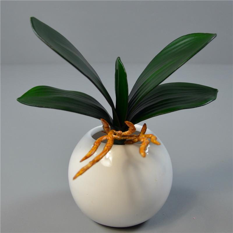 Artificial Phalaenopsis Leaf for Bonsai and Flower Arrangement Décor