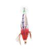Fishing Squid Jigs Bait Squid Jig Hook Hard Fishing Lure with Luminous Effect for Ocean Boat River Pond FishingRed Head