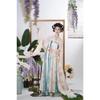 Women's Traditional Chinese Hanfu Set, Tang Dynasty Chest-high Ruqun Floral Printed Daily Wear Ancient Style Full Outfit