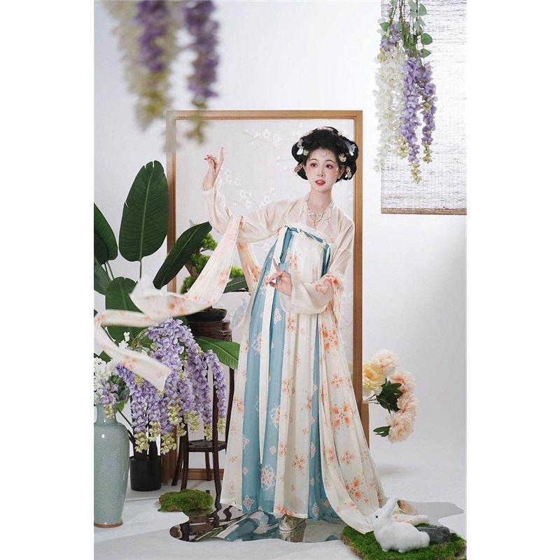 Women's Traditional Chinese Hanfu Set, Tang Dynasty Chest-high Ruqun Floral Printed Daily Wear Ancient Style Full Outfit