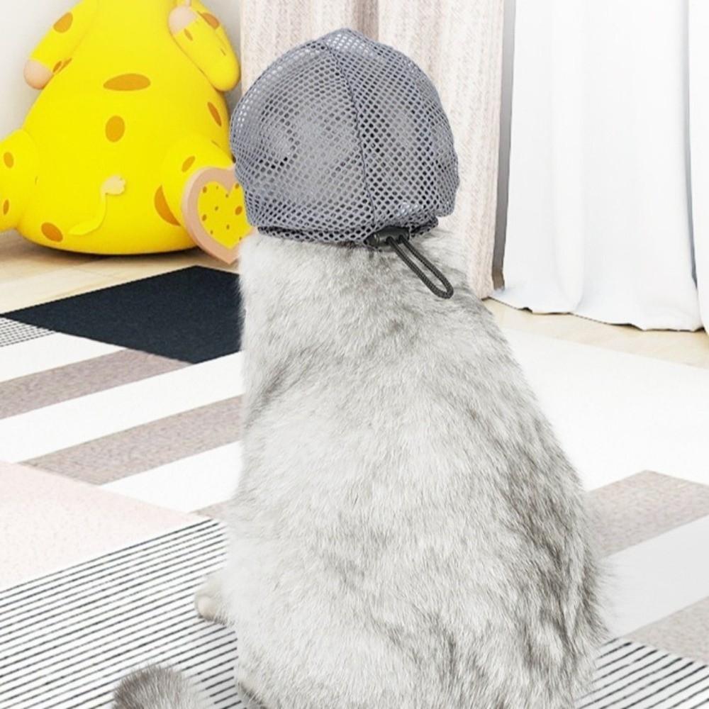Clear Window Cat Muzzle Breathable Mesh Grooming Muzzle New Anti-Bite Muzzle Grooming Use