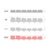 130Keys PBT Keycap Pudding OEM Profile Backlit for RGB Mechanical Keyboard