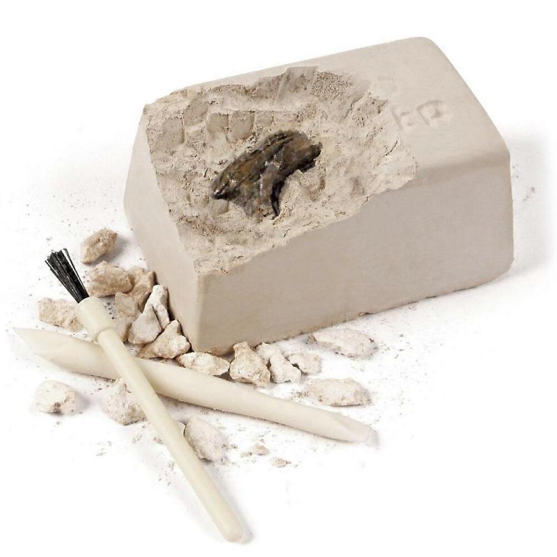 1pcs Dinosaur Paw Fossil Dig Kit Crafts Toys Diy Assembly Model Archaeological Excavation Christmas Gift