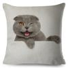 Cute Cat Pillowcase Decor Lovely Pet Animal Print Cojines Cushion Cover Polyester Pillow Case for Home Sofa Children Room 45x45