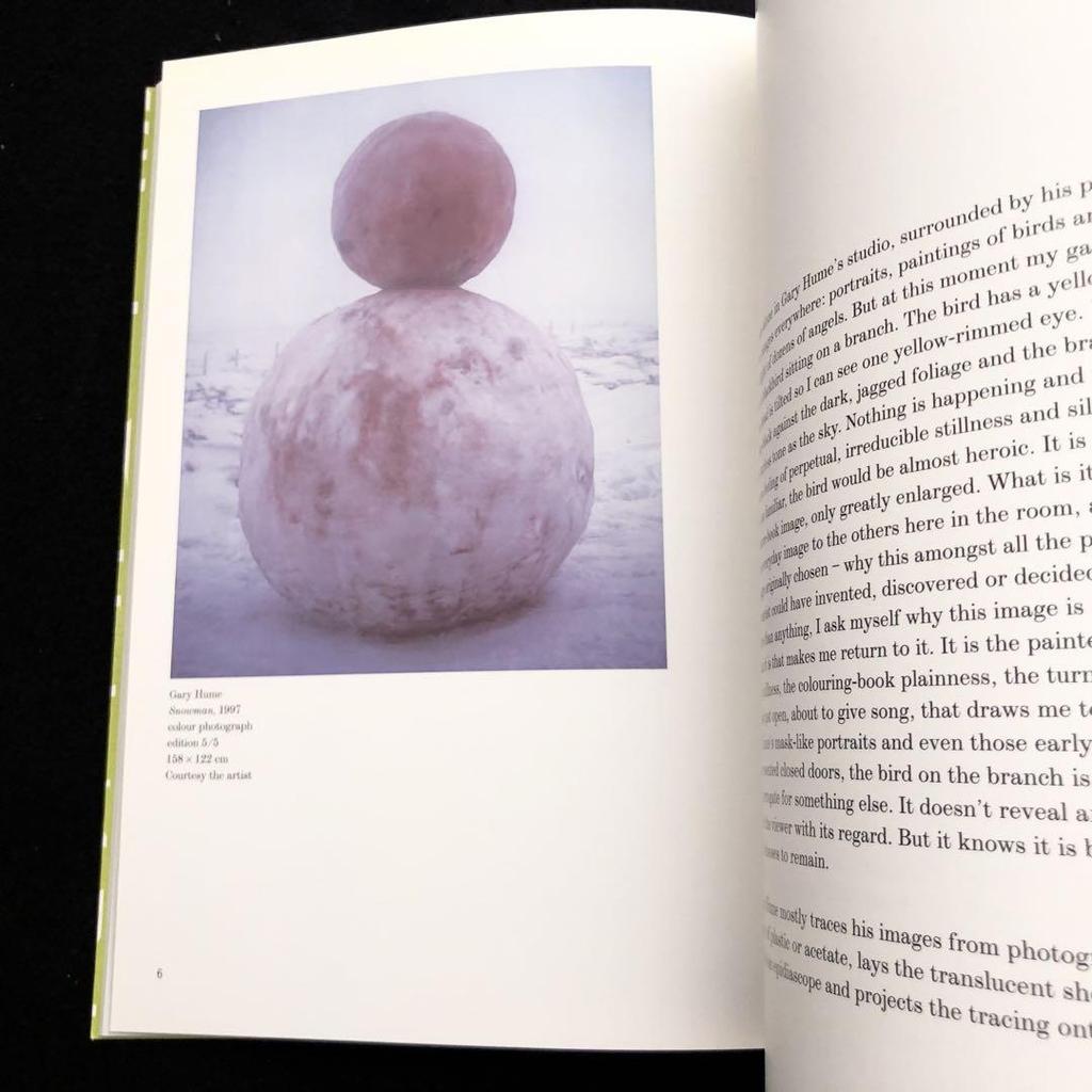 [USED] Gary Hume Collection "Gary Hume" British Council