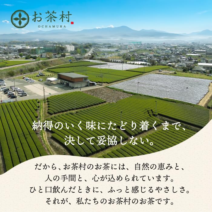 Japanese Jerusalem Artichoke Mulberry Tea (2g X 100 Bags) Diet Inulin Dietary Fiber Moranolin Mulberry Mulberry Leaf Tea Jerusalem Artichoke Tea