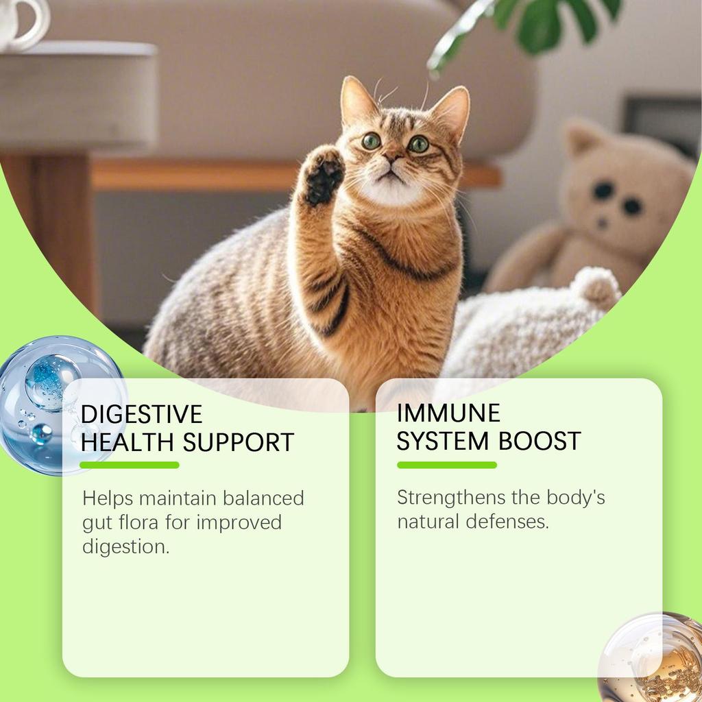 Kriath Cat Probiotic Drops 60ml - 3-in-1 formula promotes gut balance & comfort, boosts gut health & immunity, pet health care product.