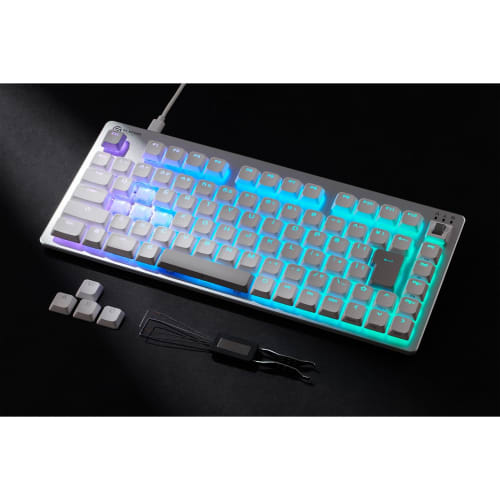 ELECOM Rapid Trigger Gaming Keyboard V Custom VK720AL Wired Magnetic Analog Detection Switch 75% Size Low Profile White TK-VK720ALWH