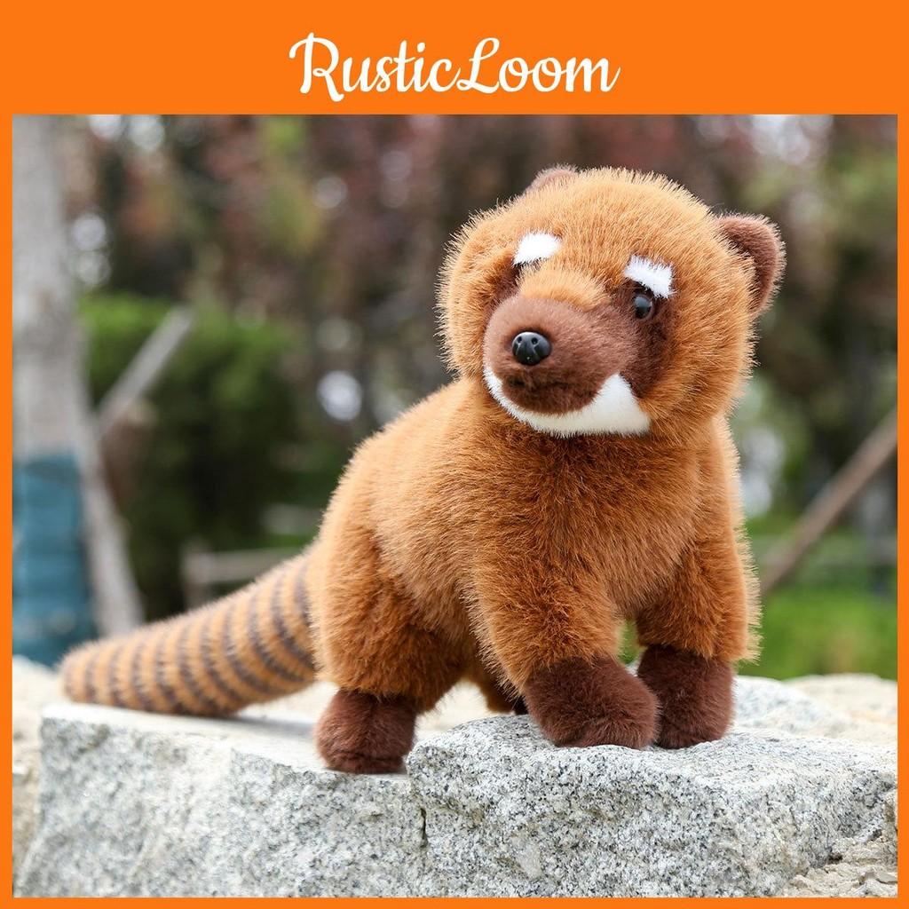 South Coati American Raccoon Plush Doll Animal Cushion Birthday Present Children