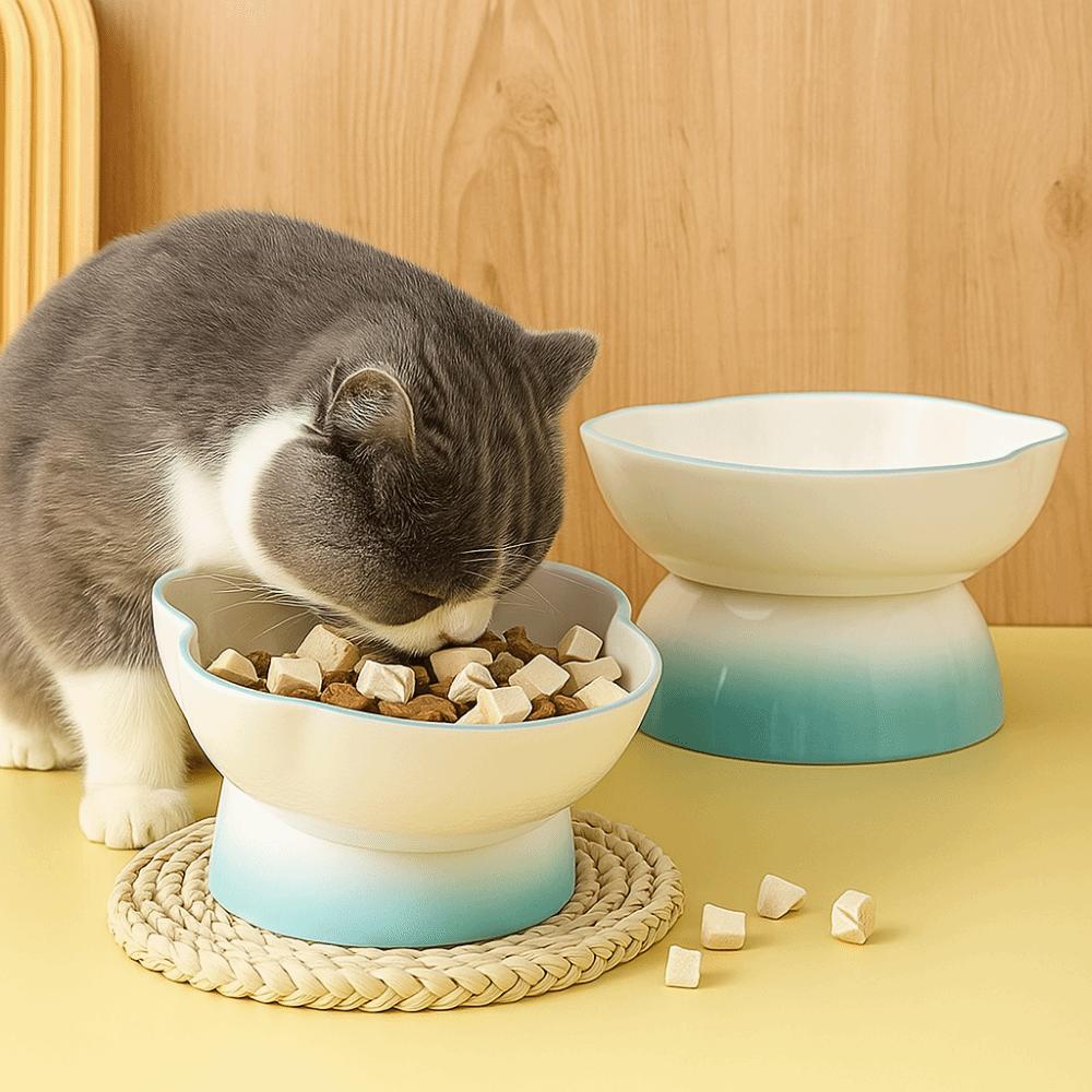 Slanted Dog Food Bowl High Foot Pet Drinking Bowl Snack Bowls Ceramic Cat Bowl  For Cats Dogs