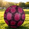 Aston Villa FootballPrinted Size 5 Soccer Ball, Anti Slip Adult Match Football Souvenir for Football Fans