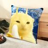 Cute Cat Cushion Cover Soft Short Plush Pillow Cover Smooth Cozy Texture Aesthetic Cushion Case Home Decor