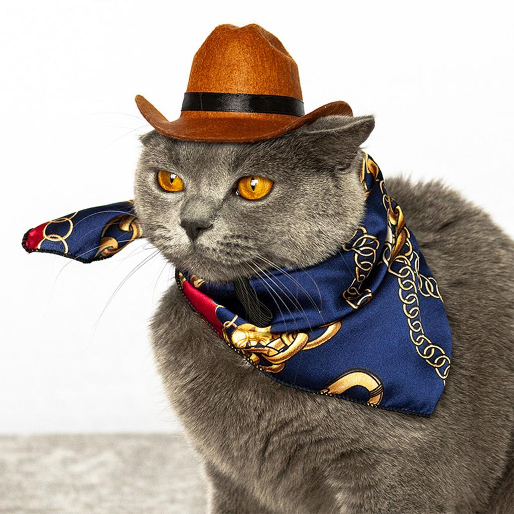 Fashion Cowboy Hat for Cats Dogs Festival Party Pet Cowboy Cap Puppy Costume Lovely Tiny Top Hat Headgear for Teddydogs