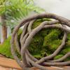 Artificial Ivy Vine Plants 39.37 Inches Pvc Fake Rattan Climbing Pets Wigwam Rainforest Landscape Diy Household Decoration D 1Cm