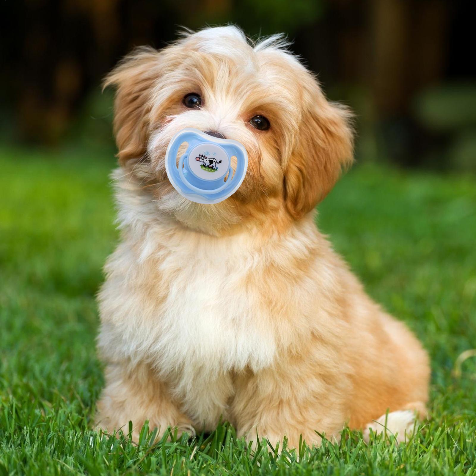 

Puppy Suckling Pacifiers 4Pcs/set Silicone Kitten Pacifiers With Dust Cover Pet Teething And Chewing Toy For Pet Animal Soothing China Mainland