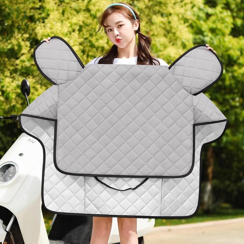 Summer Electric Vehicle Windshield Cover Universal