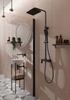 Deante Anemon Bis exposed shower set