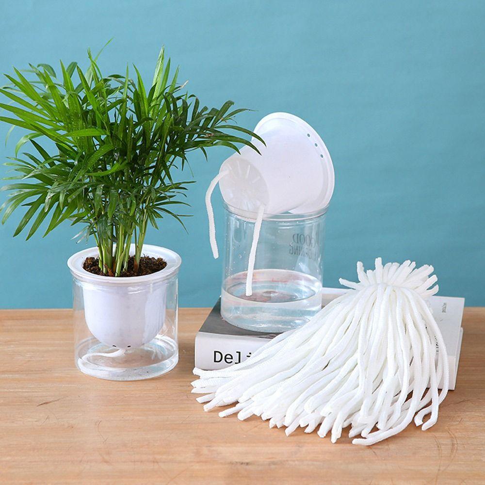 

100PCS System Washable Hydroponic Self Wick 20/25cm Automatic Device System for Plants 20cm*4mm