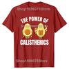 Funny Calisthenics Street Workout Fitness Gym Avocado Classic T Shirts Summer Streetwear Short Sleeve Birthday Gift T-shirt Men
