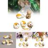 Charming Natsume's Book Of Friends Cat Teacher Miniature Pvc Figurines Set Of Five Cute Toys