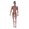 1/6 Männliche Puppe 35cm Höhe Mann Puppe Weiße/Normale/Gebräunte Haut Starker Mann Bodybuilding Material Drei Hautfarben Verfügbar