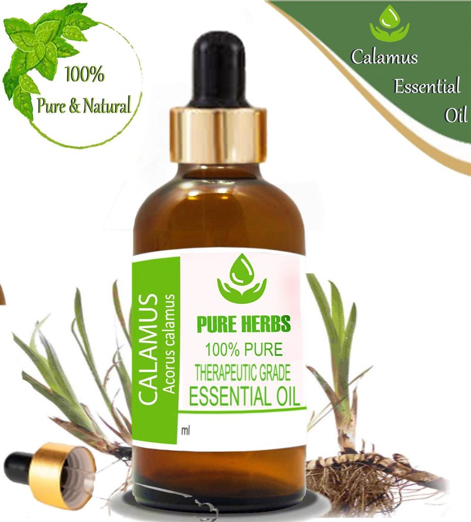 Pure Herbs Calamus 100% Pure & Natural Calamus Gibbsianus Essential Oil