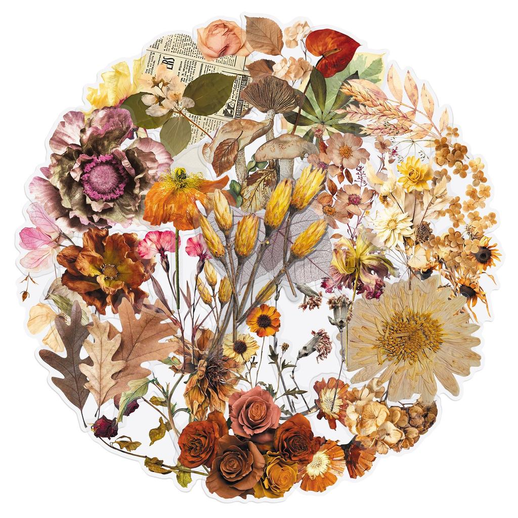 50pcs/1 lot Dry Plant PET Transparent Stickers - Retro Flowers and Leaves Realistic INS Tea Cup Notebook Envelope Stickers