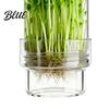 Gluten-free Sprout Container Sprouting Jar Kit Wide Mouth Glass with Lid Blackout Improved Airflow Sprouter Sleeve Plant Growing Kit for
