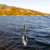 4Pcs Feather Bait Lures Durable with Hook Fishing Tackle Accessories 5.2g 2.5cm