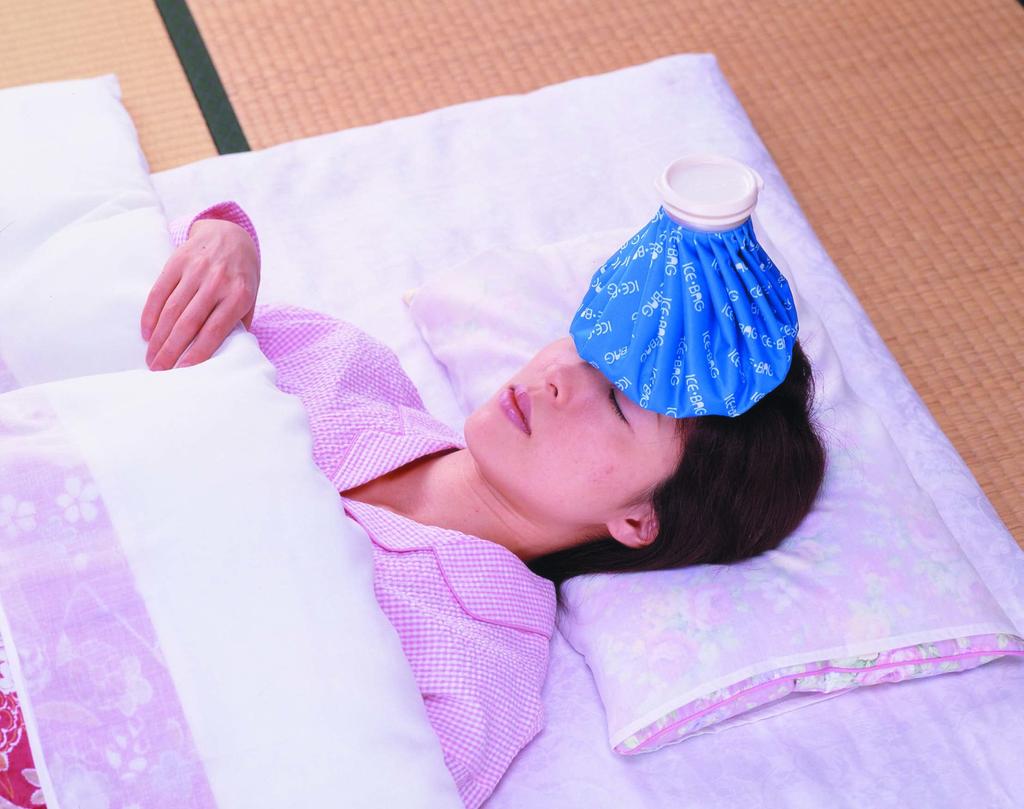Fujisho Handy Ice Pack (Large)