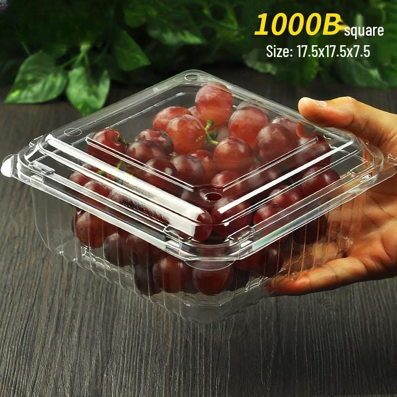 Handon Disposable Round Fruit Container