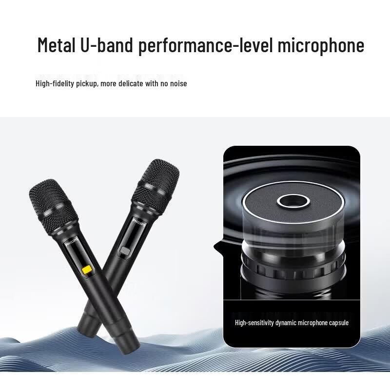 Philips SD239EX Home KTV Bluetooth Speaker System (CN version)