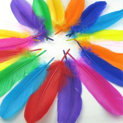 50 יחידות יצירה צבעונית של נוצות אווז - יצירה של נוצות צבעוניות למלאכת עשה זאת בעצמך, כנפי מלאכים, לוכדי חלומות וקישוטי מסיבת חתונה 160376253