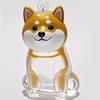 Transparent Dog Hair Souvenirs Case Dog Hair Hair Storage Capsule Pendant Puppy Hair Storage Box Charm Pet Collection Pendant
