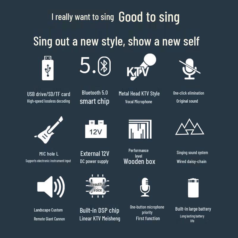 Portable Outdoor KTV Karaoke Speaker System with Dual Mics