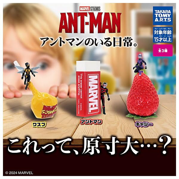 

Everyday Life with Set of 3 Gachapon Capsule Toy Ant-Man. [Complete Types]