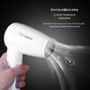 Hotel Wall-Mounted Hair Dryer for Bathroom and Toilet