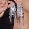 High-end Luxury Shiny Diamond Long Fringed Earrings Women's Exquisite Stud Earrings Bridal Ear Jewelry