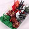 Useful Dried Flower Soft Pretty Decorative