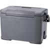 SHIMANO Icebox VL NX-422V Cooler Box