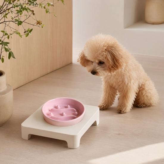Pet Slow Feeder Bowl Dog Bowl Ceramic Anti-vomiting Non-Slip