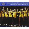 Johnny Cleggsipho Mcchunuladysmith Black Mambazo South Africa Cologne Zulu Festival